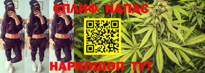 спиды Тара