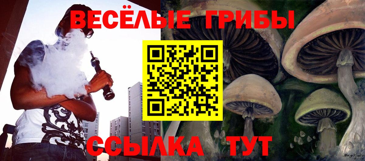 Псилоцибиновые грибы MAGIC MUSHROOMS Надым